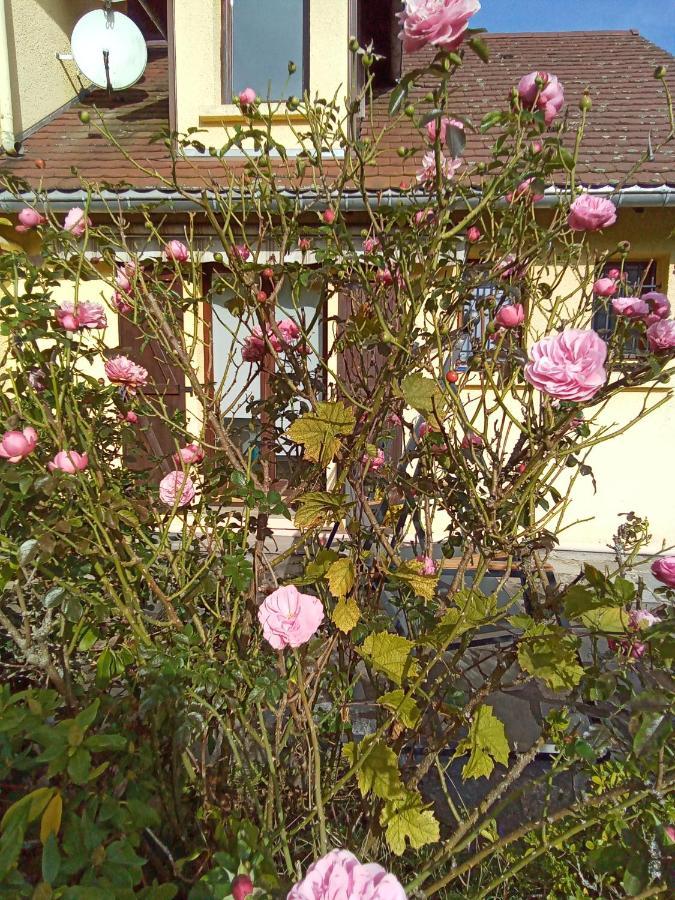 Gite Des Hortensias Raon-aux-Bois Exterior photo