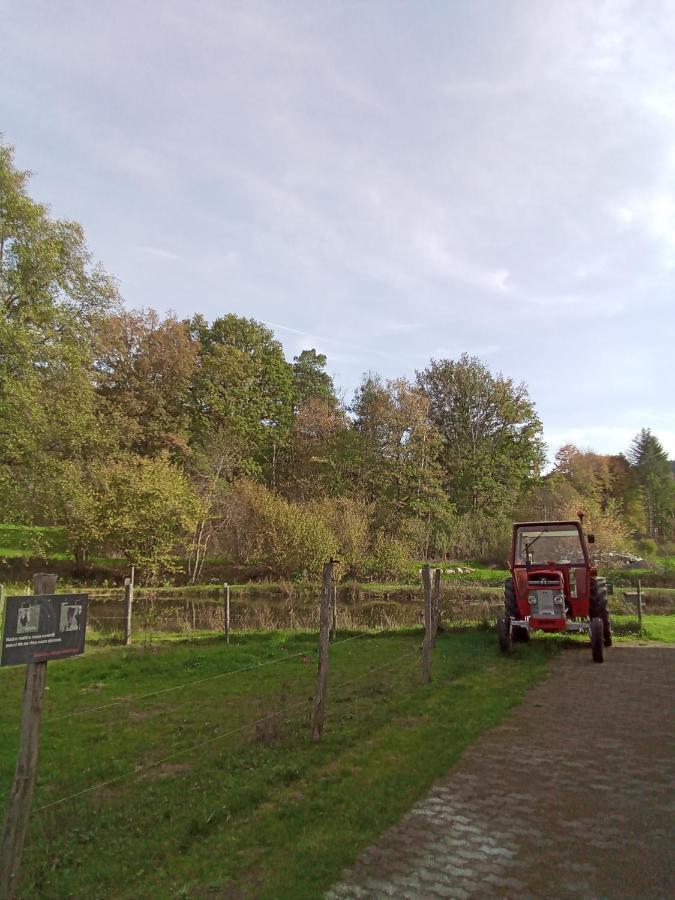 Gite Des Hortensias Raon-aux-Bois Exterior photo