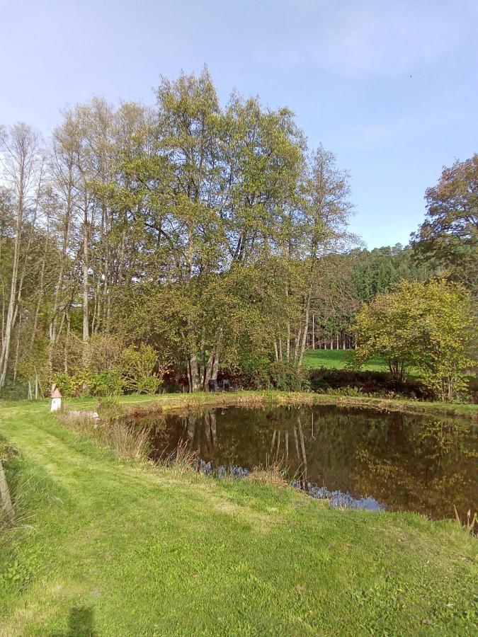 Gite Des Hortensias Raon-aux-Bois Exterior photo